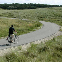 Fietspaden door de duinen: soms mooi, soms overbodig, soms schadelijk...