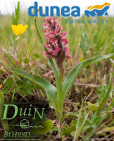 Samenwerking Dunea en Duinbehoud