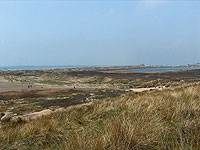 Kennemerstrand