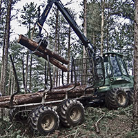 Forwarder