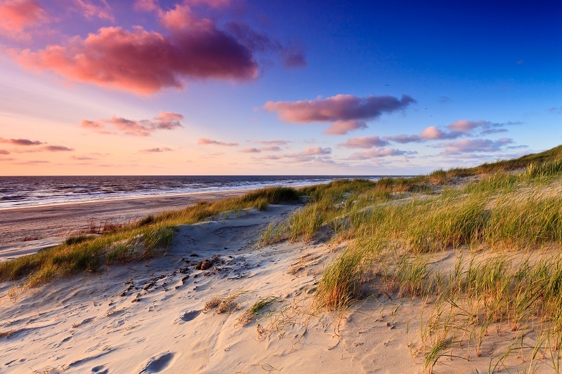 strand-80803522