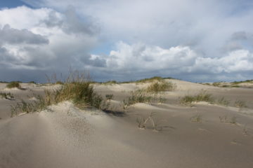 Vlieland door Kaja van Rhijn