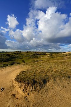 Amsterdamse Waterleidingduinen