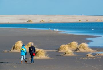 Wandelaars door Nico van Kappel