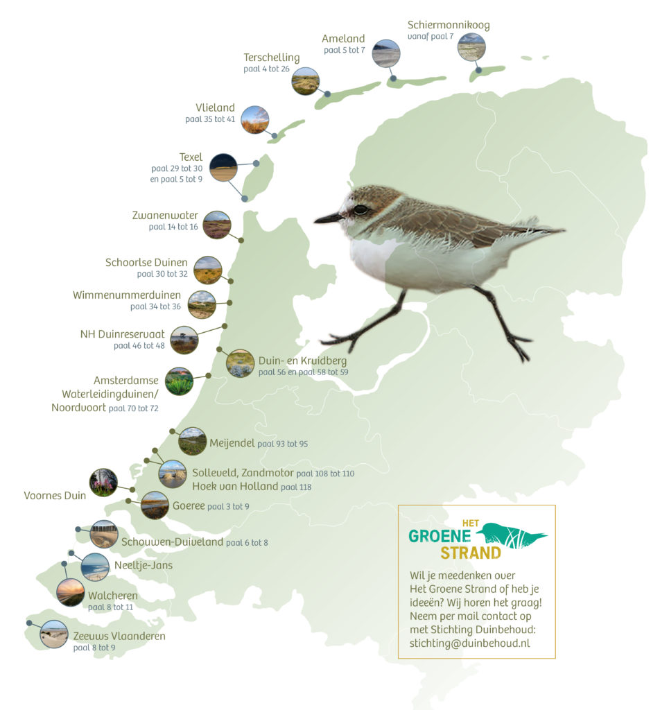 Inventarisatie naar potentiƫle kansrijke locaties voor een Groen Strand Inventarisatie naar potentiƫle kansrijke locaties voor een Groen Strand