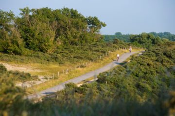 Fietsers door Nico van Kappel