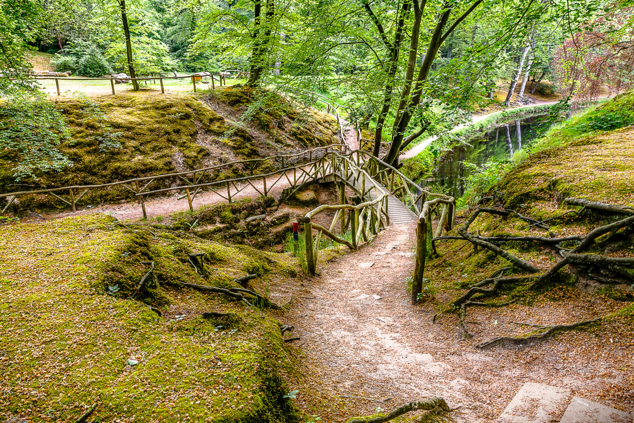 Kl. Zwitserse brug Foto Staatsbosbeheer