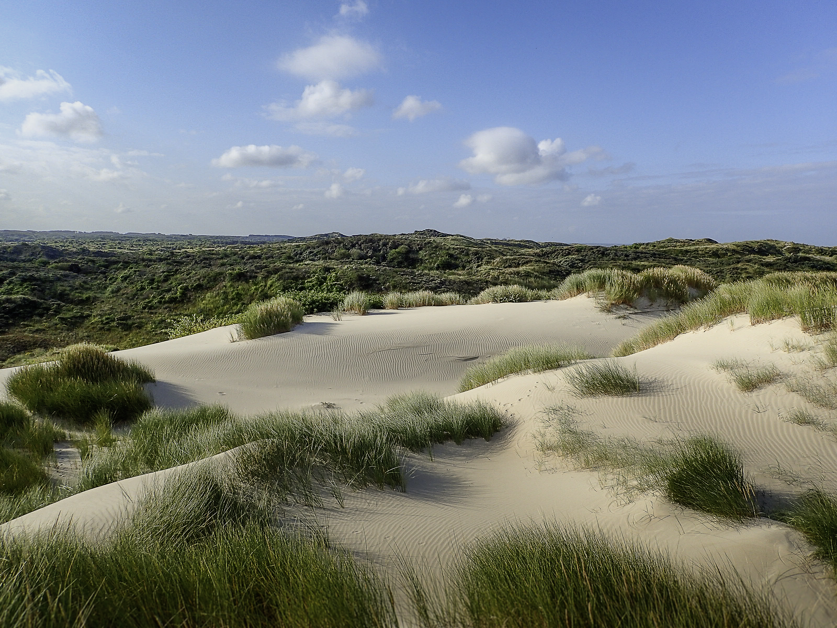 Fotograaf: Loïc Gouguet