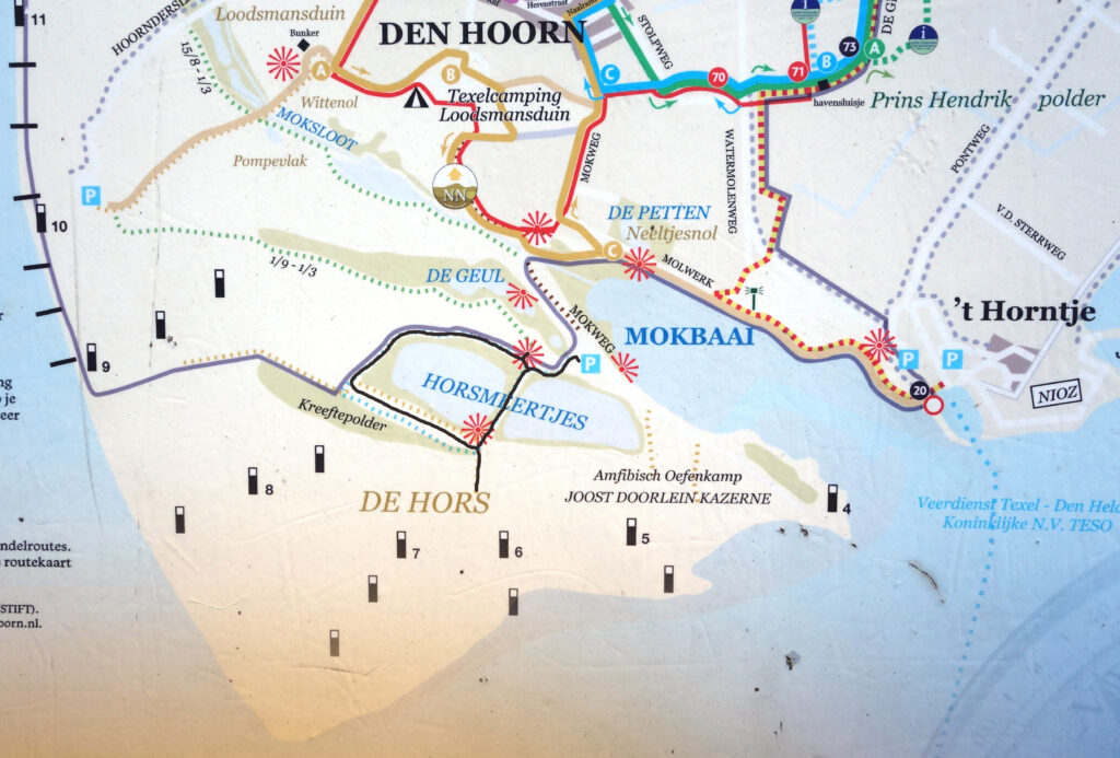 wandeling Texel