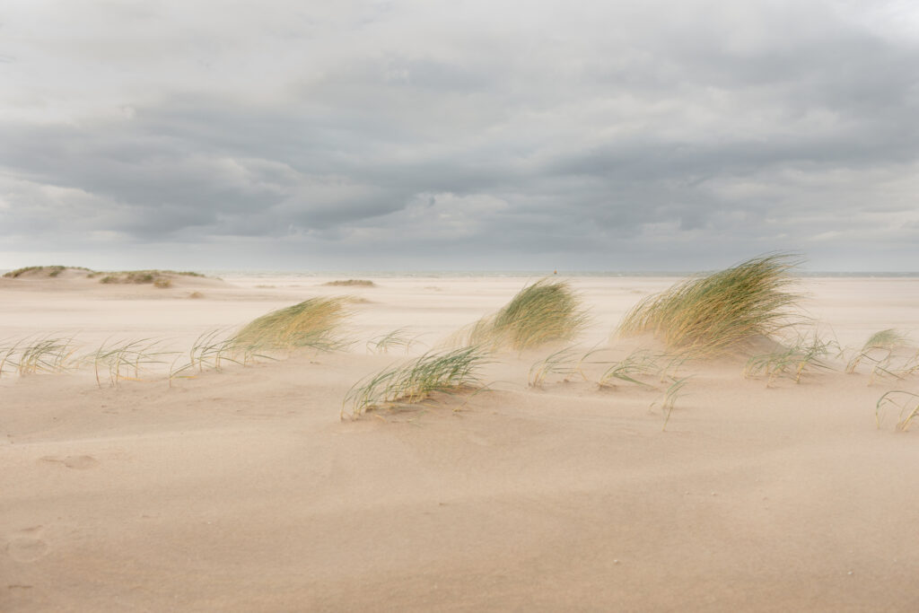 Embryonale duintjes - zandmotor -Esther Hessing