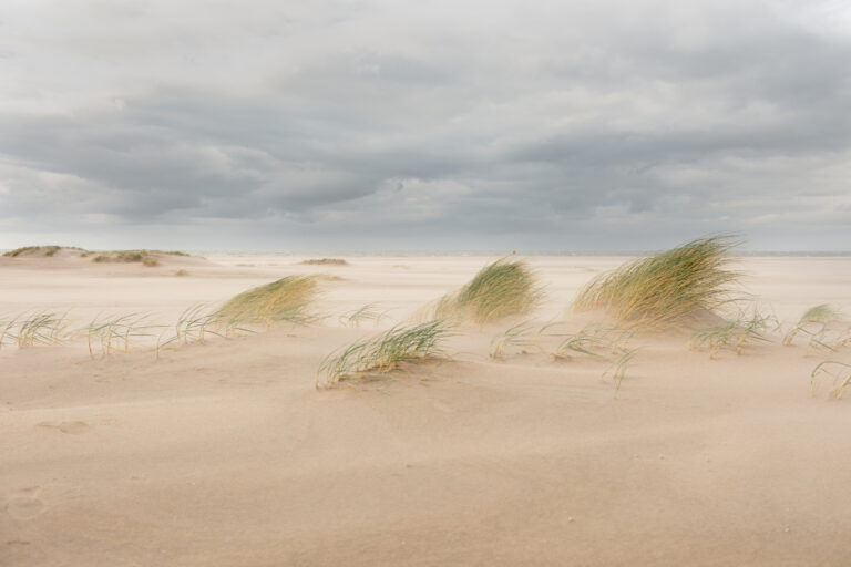 Embryonale duintjes - zandmotor -Esther Hessing
