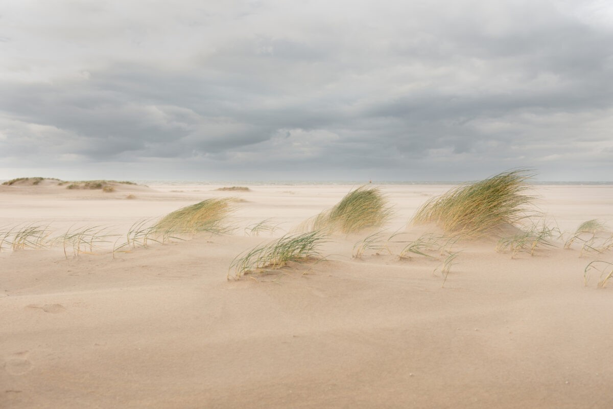 Embryonale duintjes - zandmotor -Esther Hessing