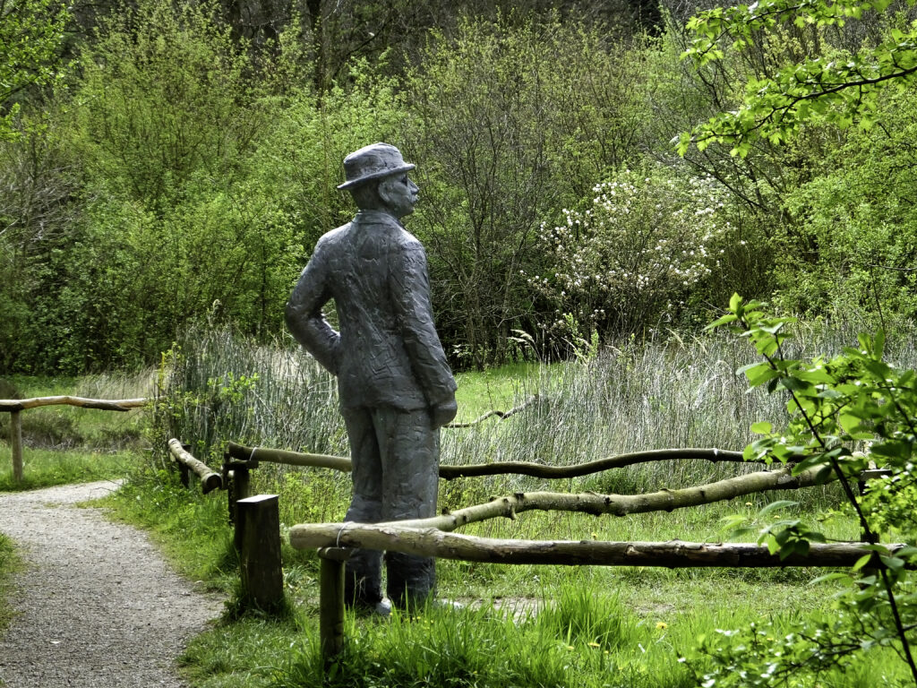 hijsse kijkt uit over zijn tuin door Ekke Wolters