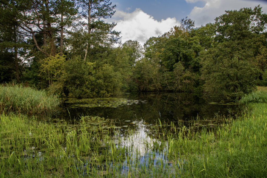 Thijsse_s Hof - Grote vijver - Lida Zaremba