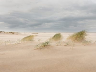Embryonale duintjes - zandmotor -Esther Hessing