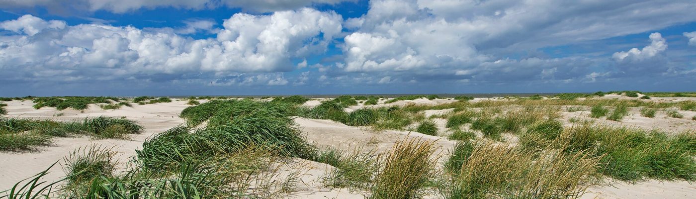 zeeduinen-rottumeroog-ronald-van-wijk-gekocht-lr.013437